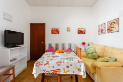 salon-sofa-television